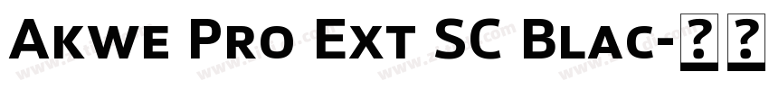 Akwe Pro Ext SC Blac字体转换